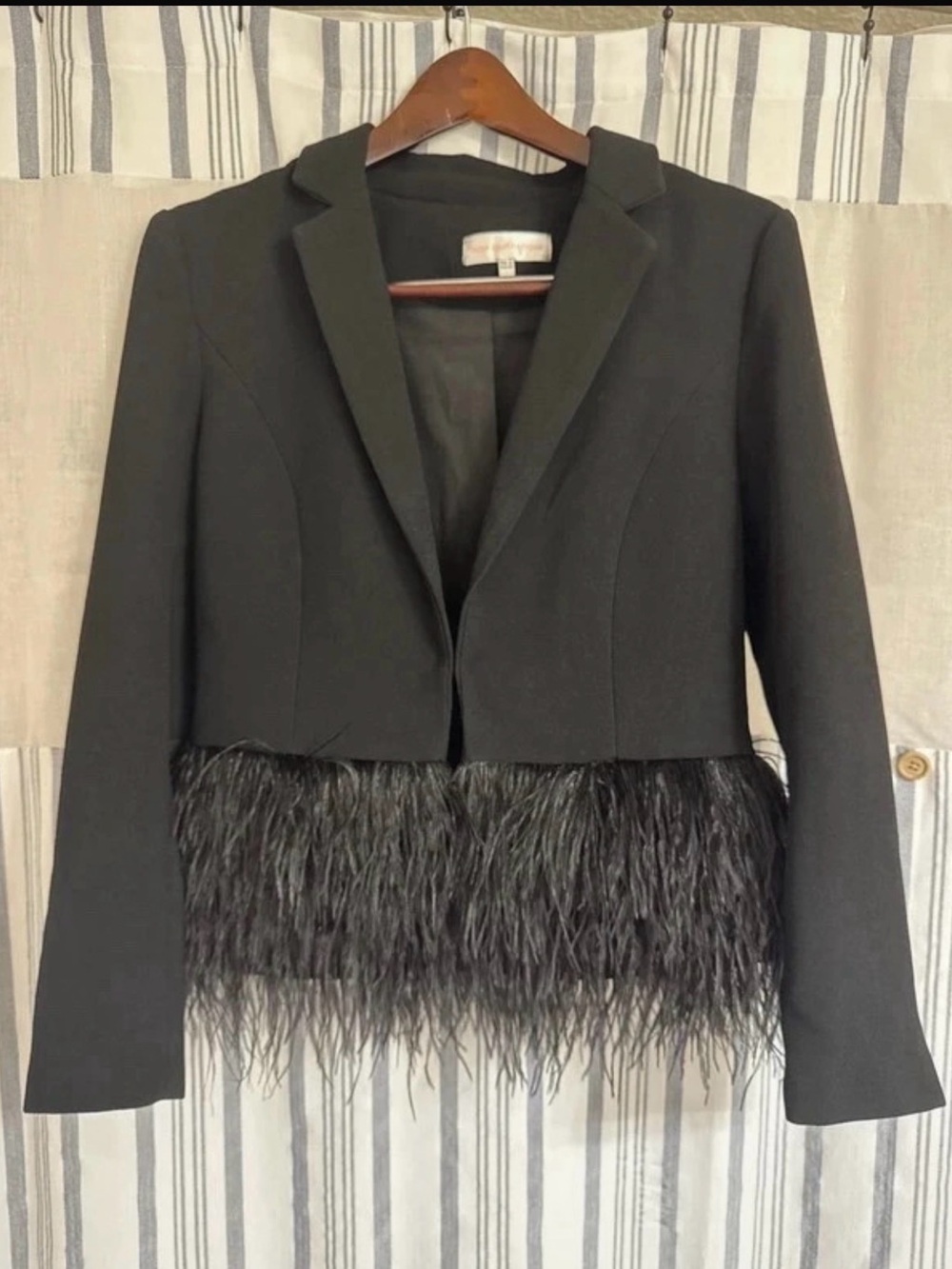 Unique Cropped Black Women's Blazer with Feather Trim